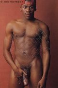 Foto Hot Tentazioni Boy Genova Ricardo 338 1719064 - 6
