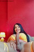 Foto Hot Tentazioni Trans Milano Luana Castrinni 393 1001131 - 11