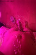 Bologna Trans Lara Melo 389 43 41 787 foto selfie 20