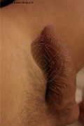 Legnano Trans Laviny Albuquerque Pornostar 389 00 19 370 foto selfie 176