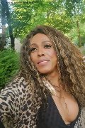 Mestre Trans Paolina Mulatta 333 29 10 933 foto selfie 17
