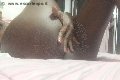 Milano Trans Paula Xxl 376 29 61 336 foto selfie 15