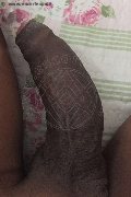 Milano Trans Paula Xxl 376 29 61 336 foto selfie 32