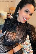 Amsterdam Trans Escort Lissandra  0031687631254 foto selfie 10