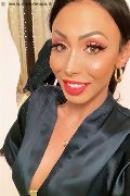 Gallarate Trans Escort Thayys Castro 329 72 89 046 foto selfie 92