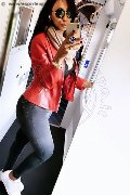 Gallarate Trans Escort Thayys Castro 329 72 89 046 foto selfie 87