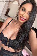 Gallarate Trans Escort Thayys Castro 329 72 89 046 foto selfie 31