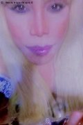 Milano Trans Escort Nicole Vip Venturiny 353 35 38 868 foto selfie 215