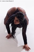 Foto Tentazioni Escort Avellino Erika 338 5964983 - 17