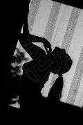 Foto Tentazioni Escort Trapani Sharon Mei 392 0646614 - 33