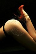 Foto Tentazioni Mistress Alessandria Fenix 338 8830800 - 15