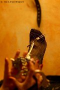 Foto Tentazioni Mistress Marina Di Carrara Lady De Sade Italy 339 2160761 - 6