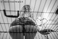 Foto Tentazioni Mistress Verona Lady Giuliette 348 6833721 - 16