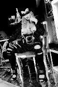 Foto Tentazioni Mistresstrans Legnano Lady Ale Cavallona 350 8935739 - 1