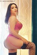 Foto Tentazioni Trans Bergamo Amira Abdelnour 371 3779196 - 12