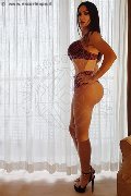 Foto Tentazioni Trans Bergamo Amira Abdelnour 371 3779196 - 39