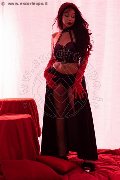 Foto Tentazioni Trans Bergamo Luciana Hot 339 7674731 - 19