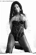 Foto Tentazioni Trans Colonnella Graicy Ohara Pornostar 389 7696422 - 9