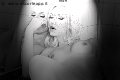 Foto Tentazioni Trans Francoforte Mary Ts 0049 1751281117 - 7