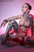 Foto Tentazioni Trans Milano Gaby Manzini 393 1497296 - 50