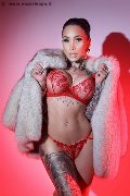 Foto Tentazioni Trans Milano Gaby Manzini 393 1497296 - 39