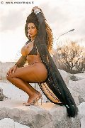 Foto Tentazioni Trans Reggio Emilia Sandra Ravach 334 1547195 - 12