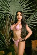 Foto Tentazioni Trans Roma Pamelita 331 1507952 - 48