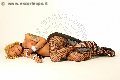 Foto Tentazioni Trans Roma Robby 333 6677555 - 5