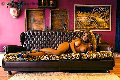 Foto Tentazioni Transescort Brescia Jessica Aryani 393 2507943 - 18