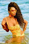 Foto Tentazioni Transescort Cannes Paula Xxl 376 2961336 - 102