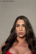 Foto Tentazioni Transescort Como Ts Sophia 339 1841425 - 7