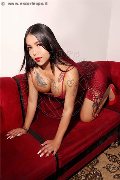 Foto Tentazioni Transescort Jesolo Sofia Xxl 392 8104305 - 47
