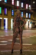Foto Tentazioni Transescort Milano Ath�na 327 0729765 - 16