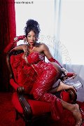 Foto Tentazioni Transescort Padova Campbell 393 3357541 - 43