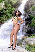 Foto Tentazioni Transescort Torino Estrella 380 1783164 - 85