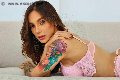 Foto Tentazioni Transescort Torino Helena Meirelles 344 7974968 - 7