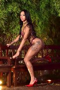 Foto Tentazioni Transescort Torino Sophie Vergara 351 6700925 - 12