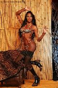 Foto Tentazioni Transescort Vercelli Alessandra La Gatta Nera 348 8811524 - 47