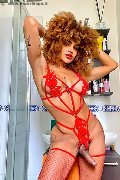Foto Hot Tentazioni Trans Milano Stella 329 5563971 - 5