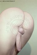 Foto Hot Tentazioni Travescort Noventa Di Piave Vanessa Dior 345 0405832 - 8