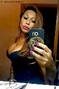 Rimini Trans Escort Alessandra Toledo Pornostar 339 67 43 933 foto selfie 226