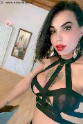 Vercelli Trans Escort Rayla Rios 329 38 77 403 foto selfie 2