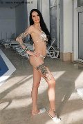Foto Tentazioni Escort Vibo Valentia Maria 329 5556638 - 8