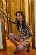 Foto Tentazioni Trans Dalmine Luisa 334 3213842 - 8