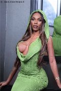 Foto Tentazioni Trans Milano Barbie Black 392 4464272 - 44