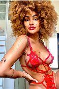 Foto Tentazioni Trans Milano Stella 329 5563971 - 25
