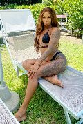 Foto Tentazioni Transescort Alba Adriatica Hillary Brasiliana 338 4136322 - 43