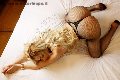 Foto Tentazioni Transescort Palermo Alejandra Holguin 331 4081639 - 241