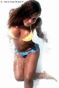 Foto Tentazioni Transescort Rimini Alessandra Toledo Pornostar 339 6743933 - 111