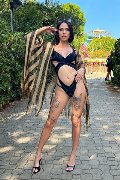 Foto Tentazioni Transescort Verona Nick Miller 338 2945956 - 80